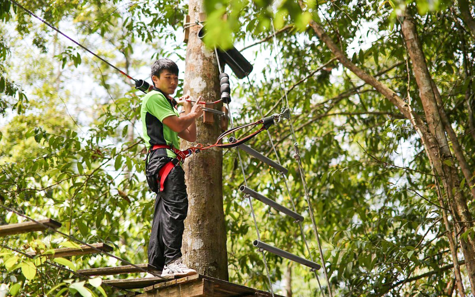 Tickets to Skytrex Adventure Langkawi in Langkawi - Highlights | TickYourList