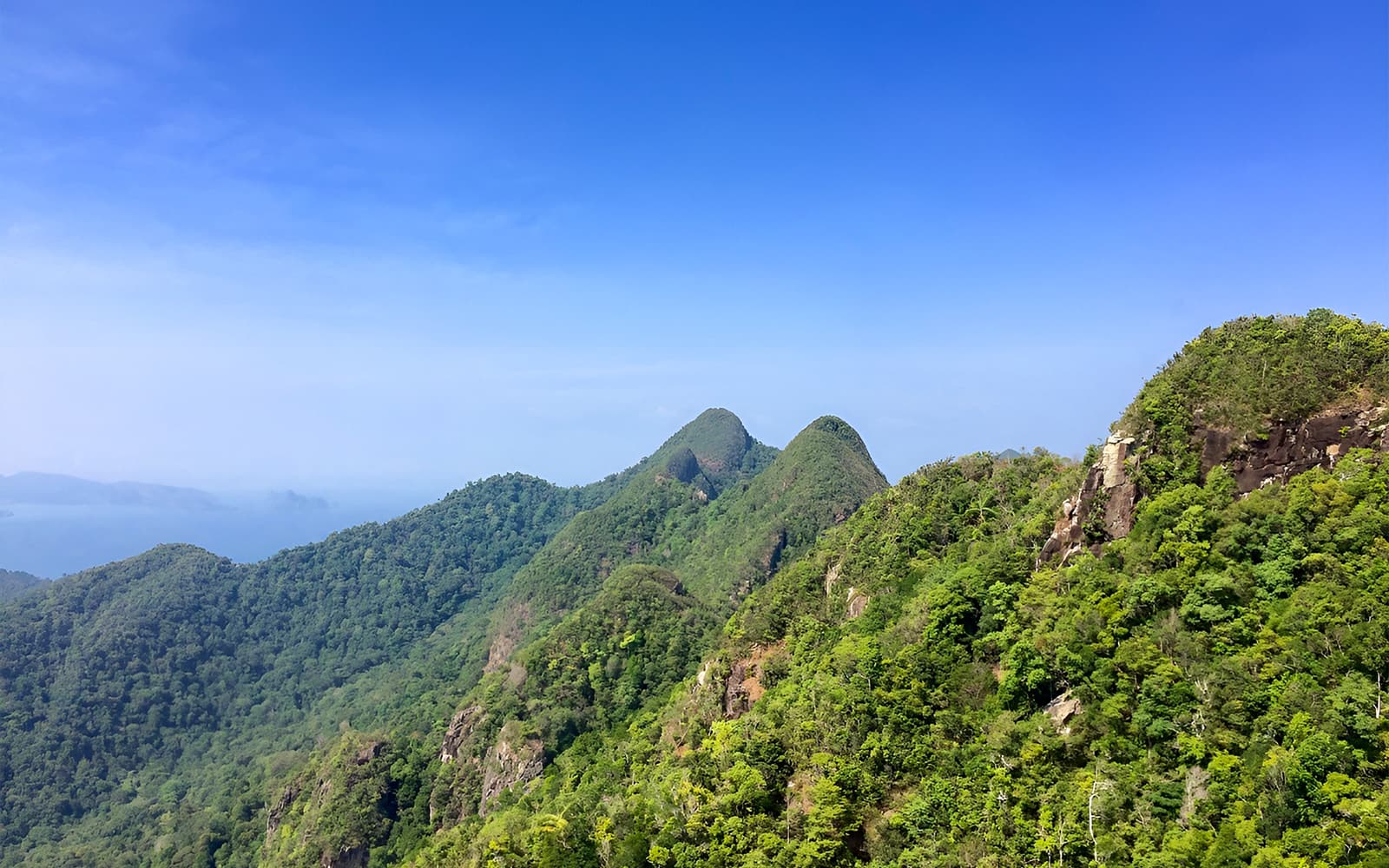 Guided Bird Watching Tour in Langkawi with Round-Trip Transfers tickets in Langkawi - Full Experience | TickYourList