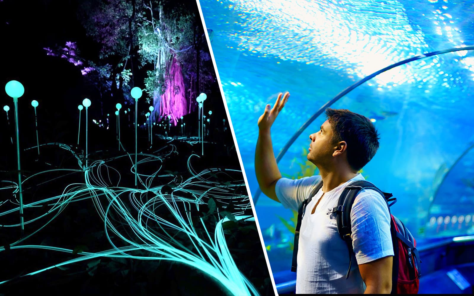 Combo (Save 10%)(Save 10%): Dream Forest Langkawi + Langkawi Underwater World Tickets
