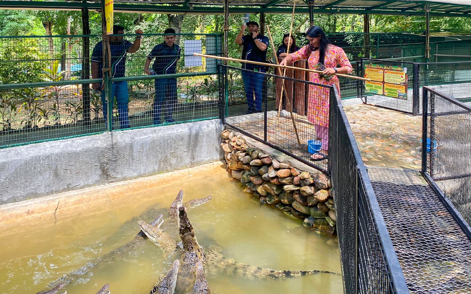 Combo (Save 15%): Crocodile Adventureland Langkawi + Langkawi SkyCab Tickets in Langkawi - Activities | TickYourList