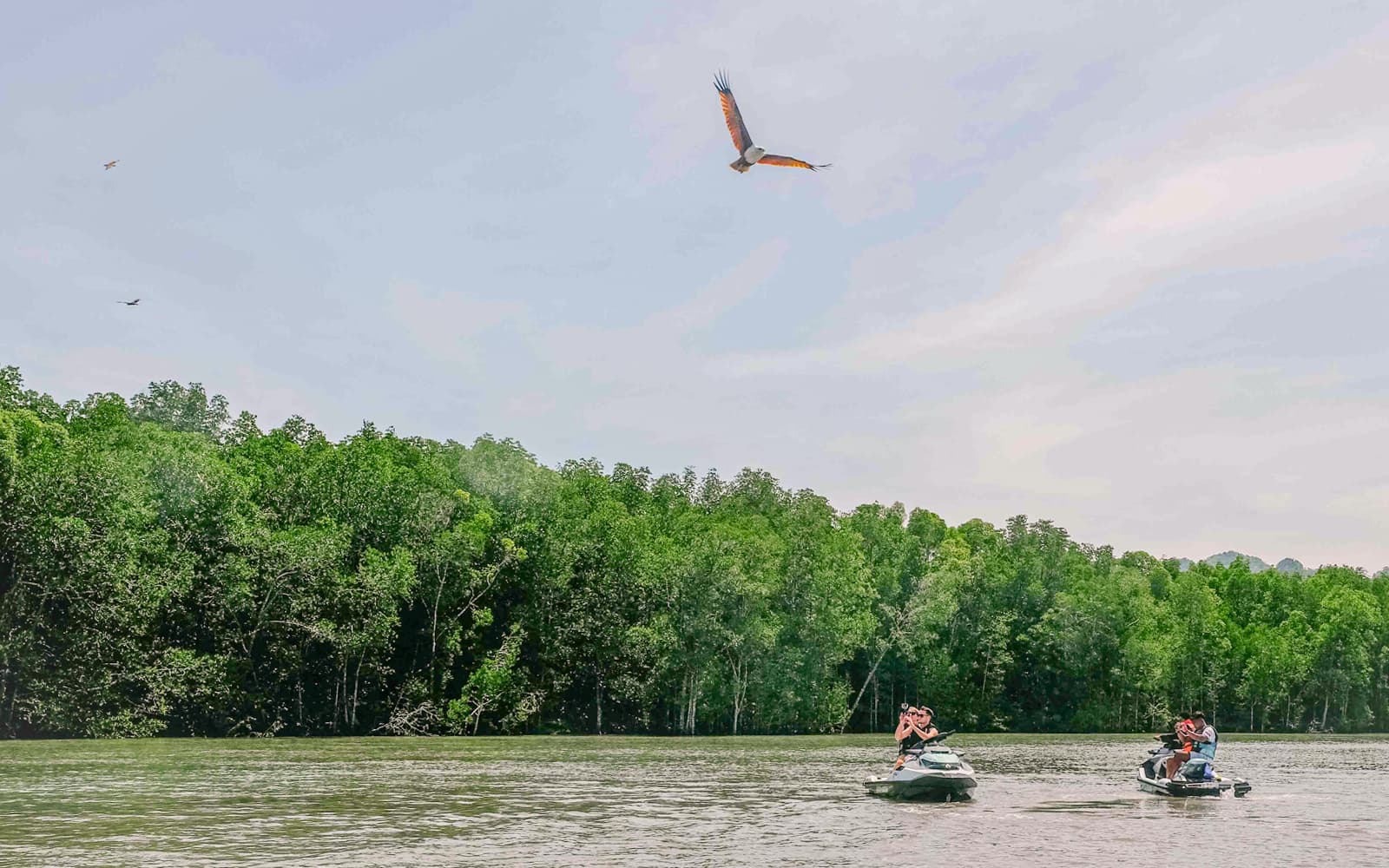 Jet Ski Tour of UNESCO Kilim Geopark with Free Drone Video tickets in Langkawi - Activities | TickYourList