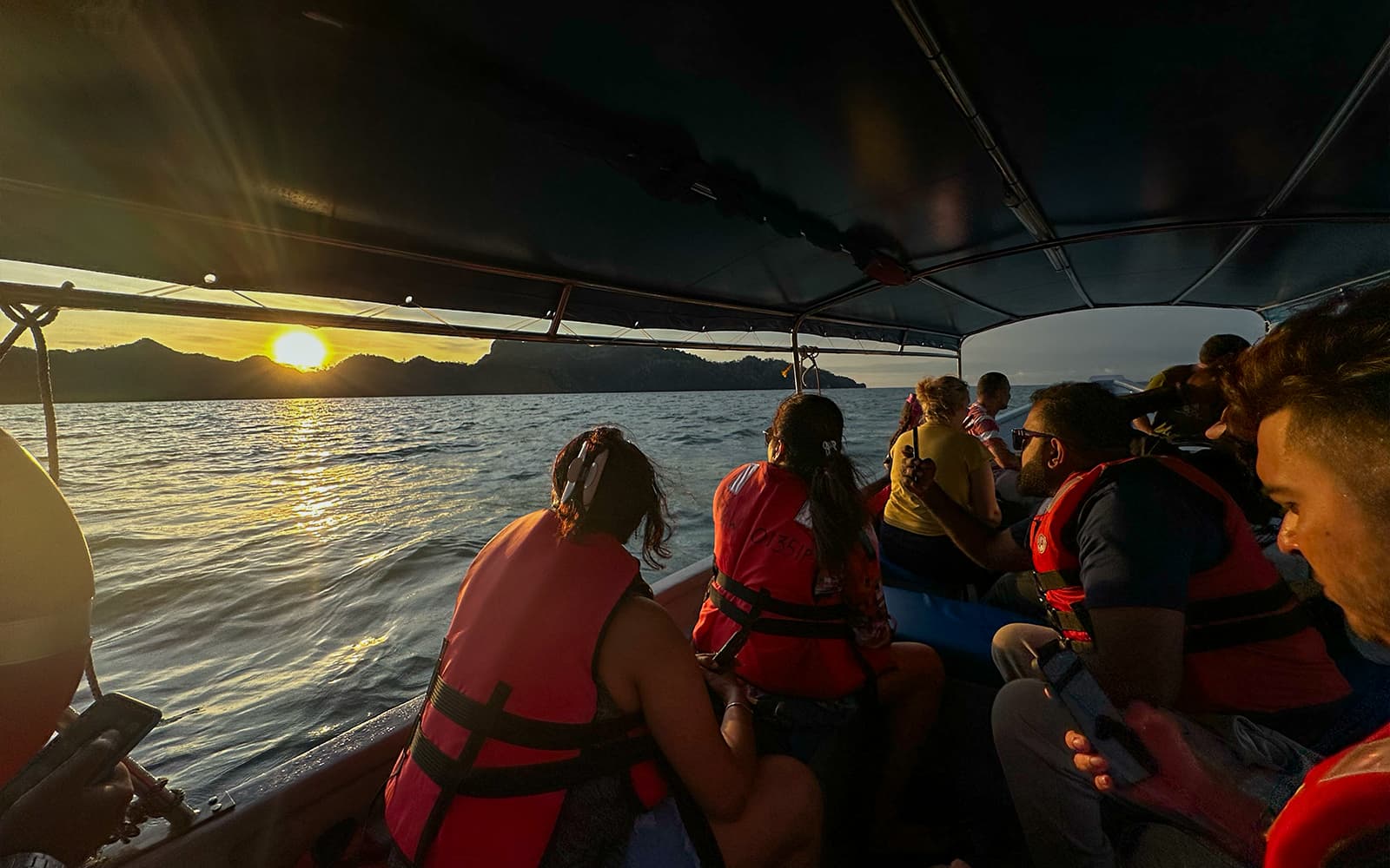 Langkawi Night Mangrove Tour