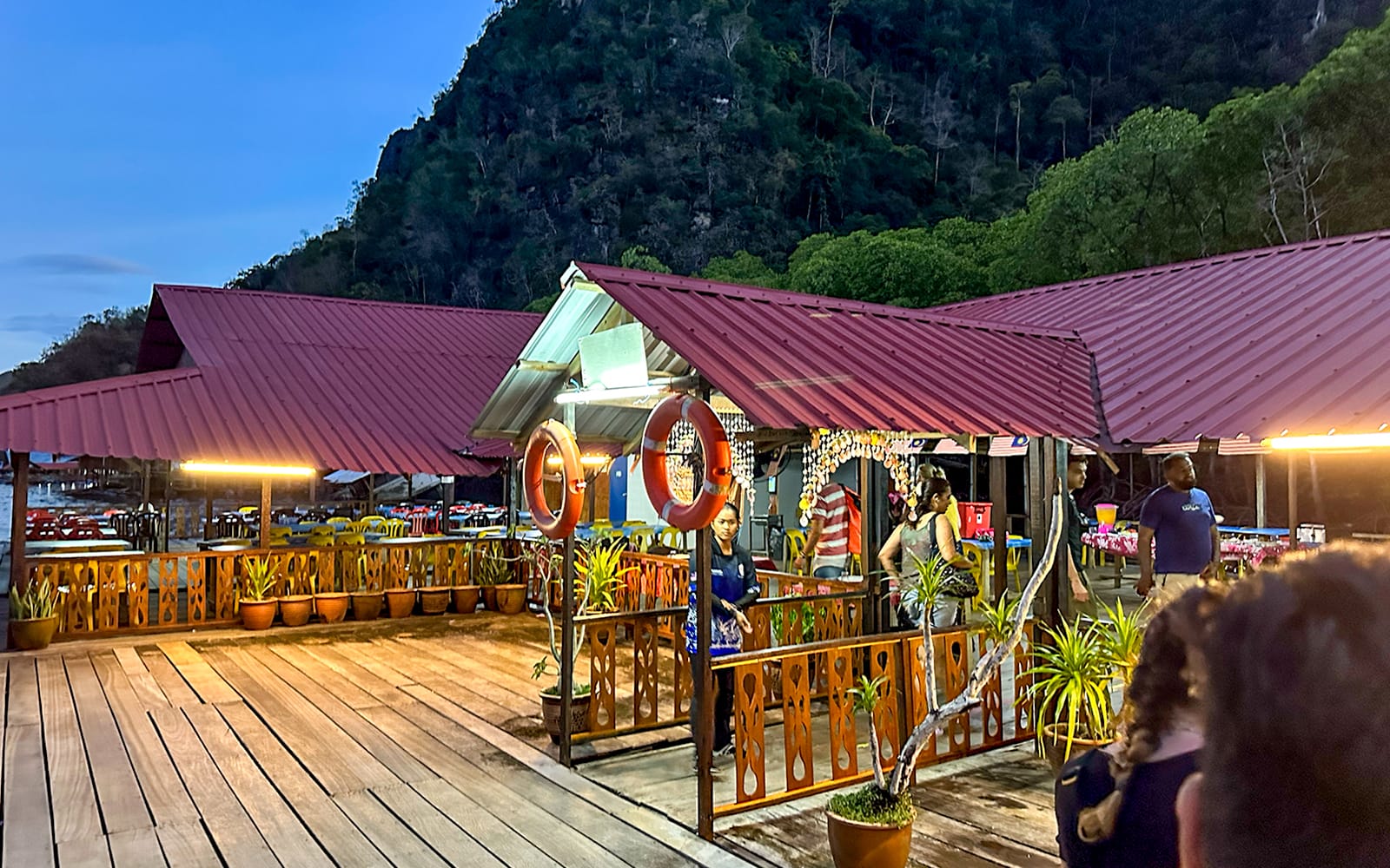 Langkawi Night Mangrove Tour tickets in Langkawi - Activities | TickYourList