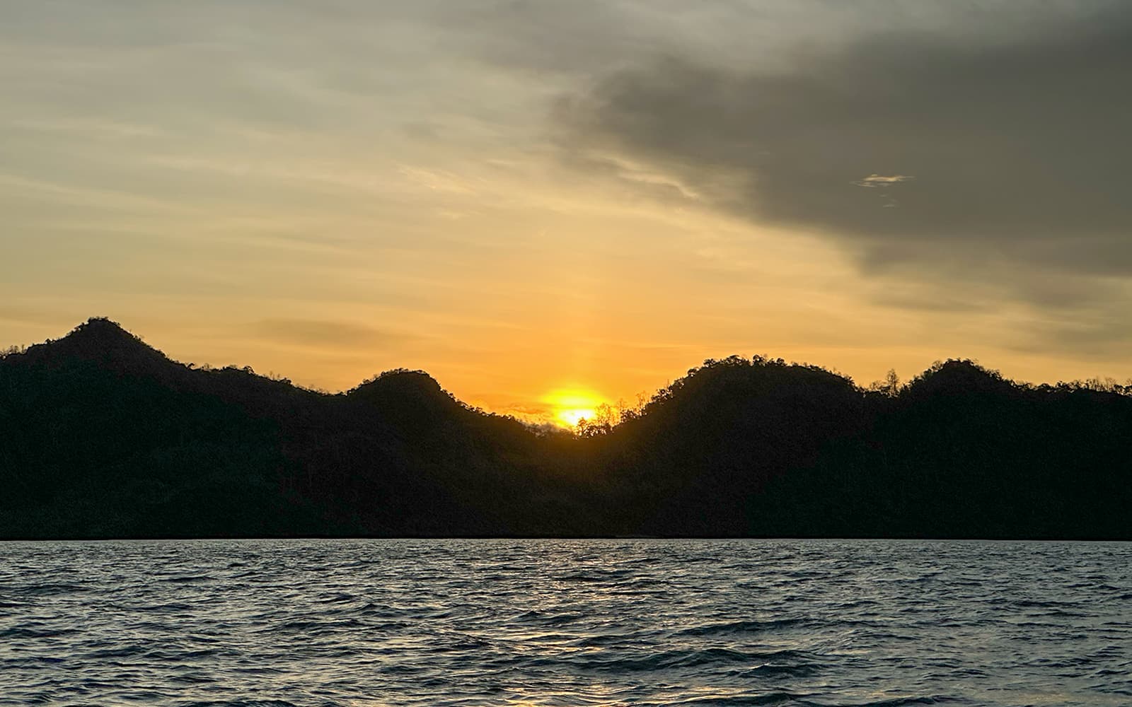 Langkawi Night Mangrove Tour tickets in Langkawi - Highlights | TickYourList