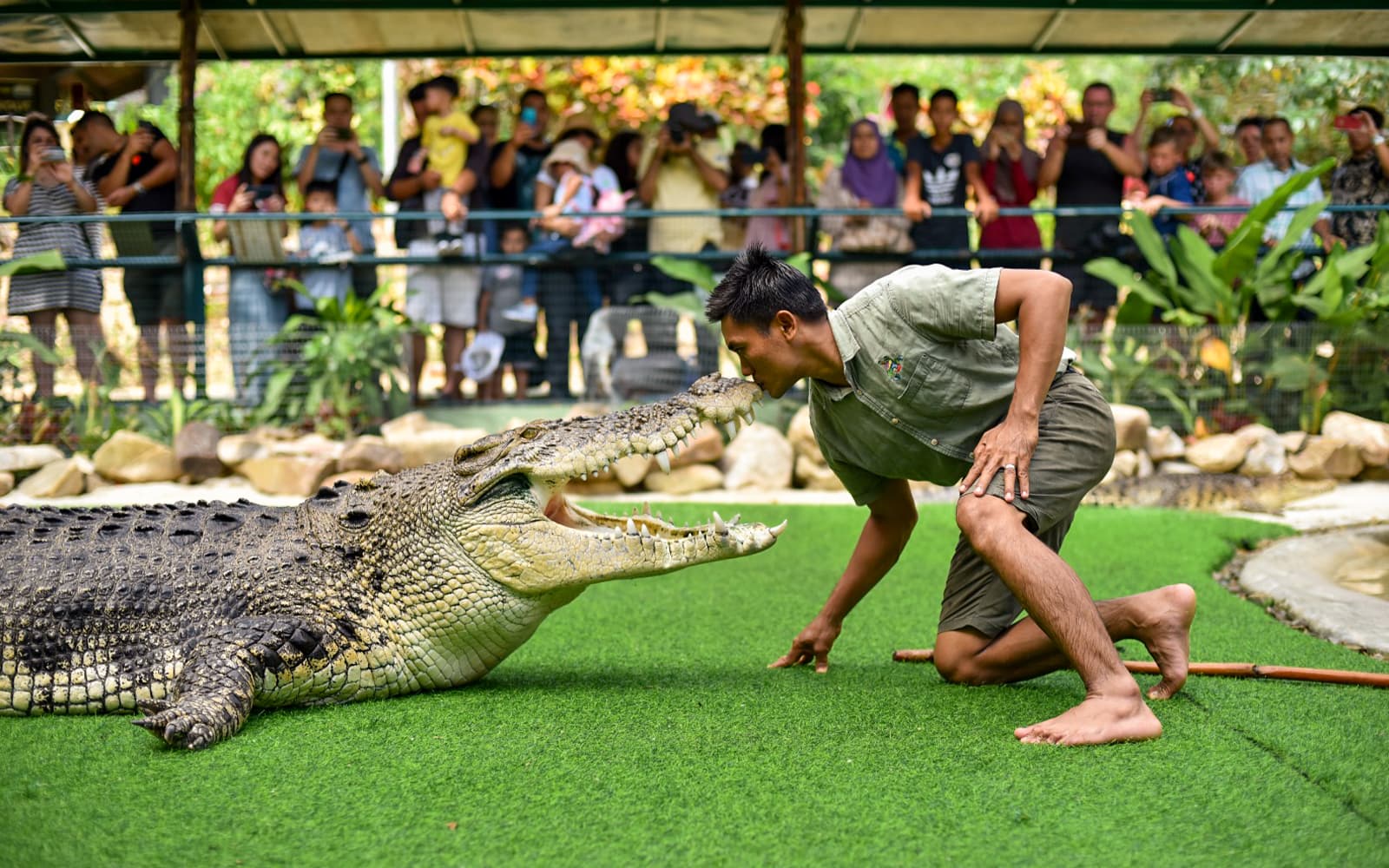 Combo (Save 12%): Crocodile Adventureland + 1 Langkawi Attraction Tickets