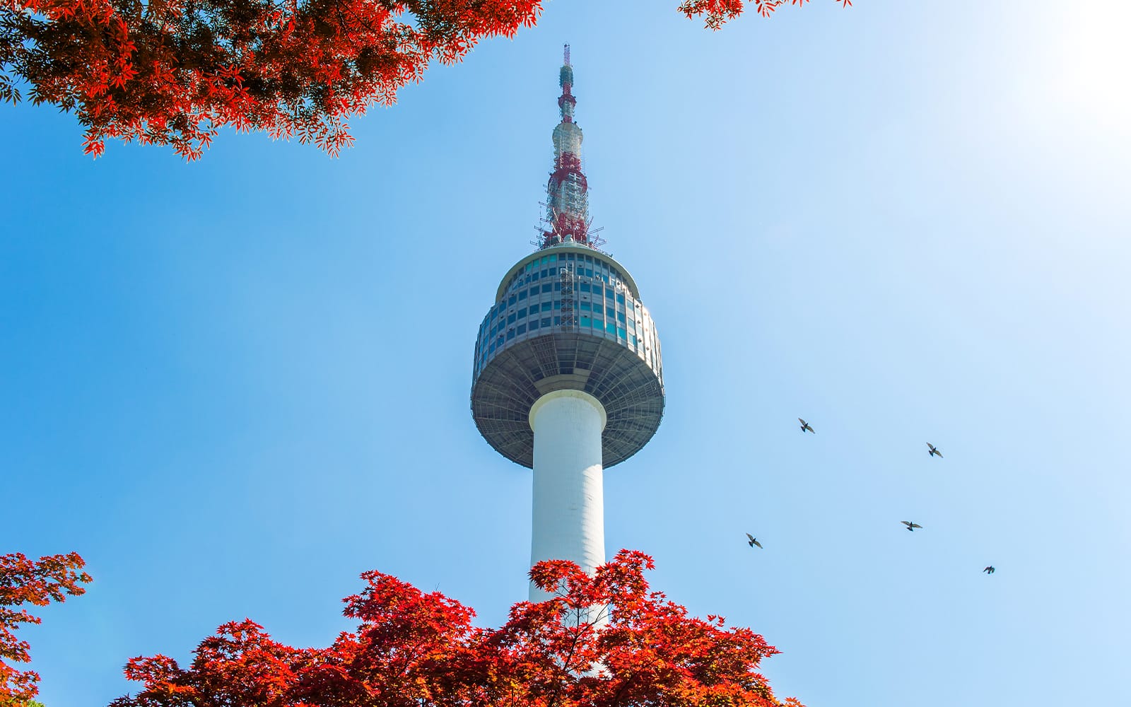 Tickets to N Seoul Tower Observatory experience in Seoul | TickYourList