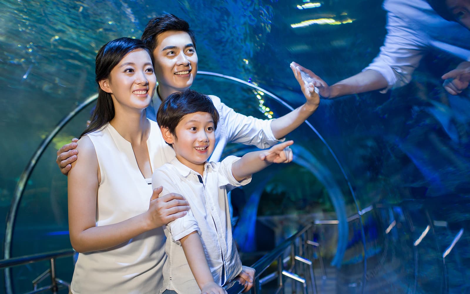 SEA LIFE COEX, Seoul Aquarium Tickets