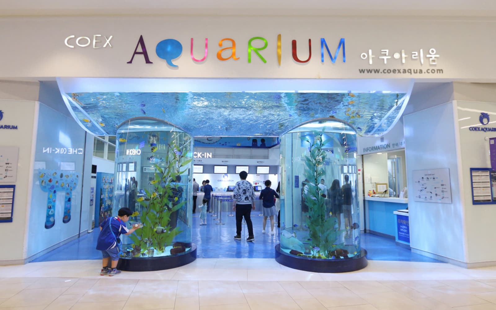 SEA LIFE COEX, Seoul Aquarium Tickets in Seoul - Features | TickYourList