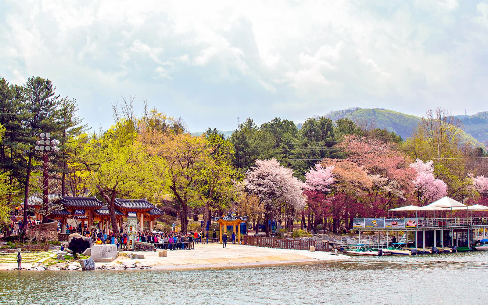 Nami Island Day Tour with Gangchon Rail Bike tickets in Seoul - Activities | TickYourList