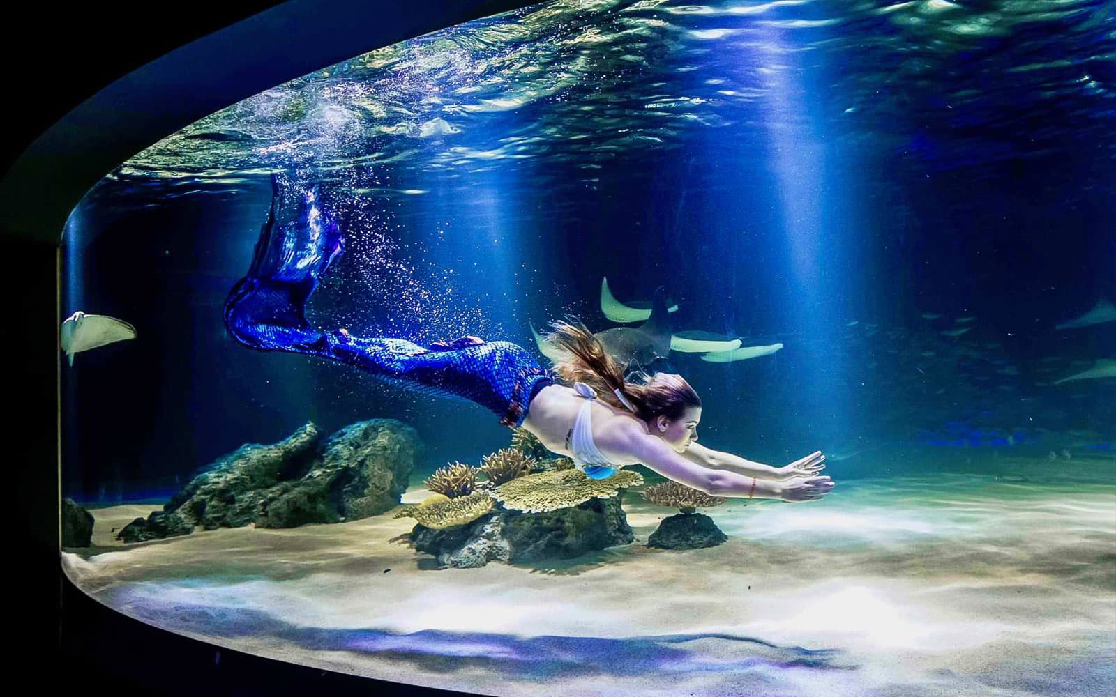 63 Building Observatory Tickets with Optional Aqua Planet & Sky Art Visit in Seoul - Activities | TickYourList
