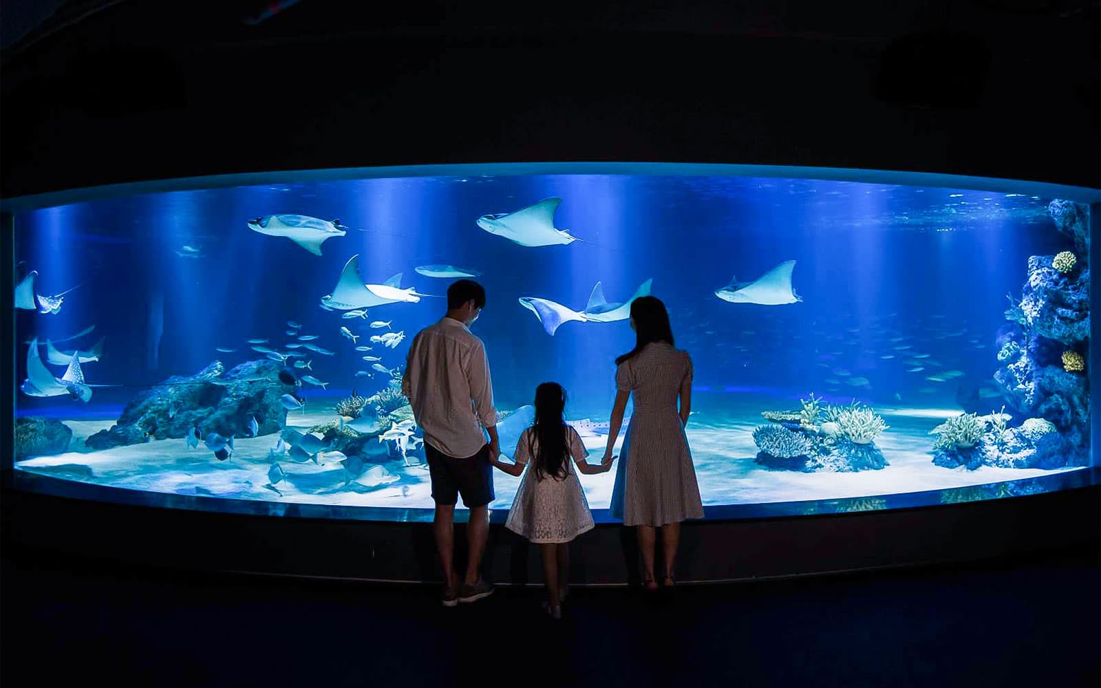 63 Building Observatory Tickets with Optional Aqua Planet & Sky Art Visit in Seoul - Highlights | TickYourList