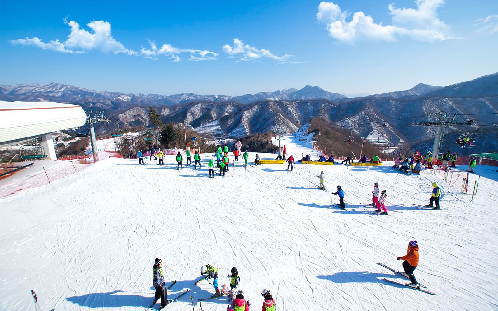From Seoul: Elysian Gangchon Ski Resort and Nami Island Day Tour