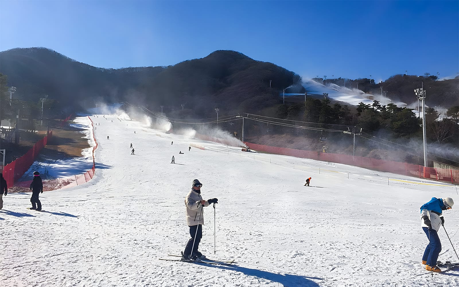 Day Tour of Jisan Forest Ski Resort from Seoul experience tickets in Seoul | TickYourList