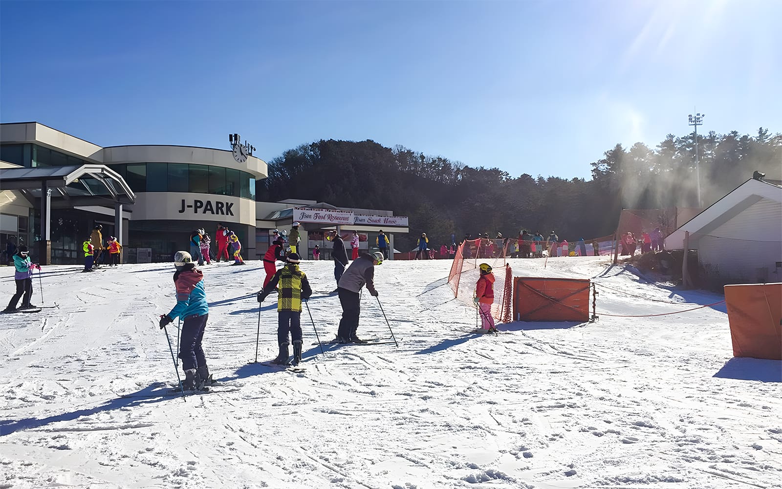 Day Tour of Jisan Forest Ski Resort from Seoul tickets in Seoul - Activities | TickYourList