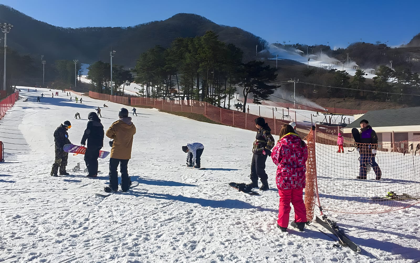 Day Tour of Jisan Forest Ski Resort from Seoul tickets in Seoul - Highlights | TickYourList