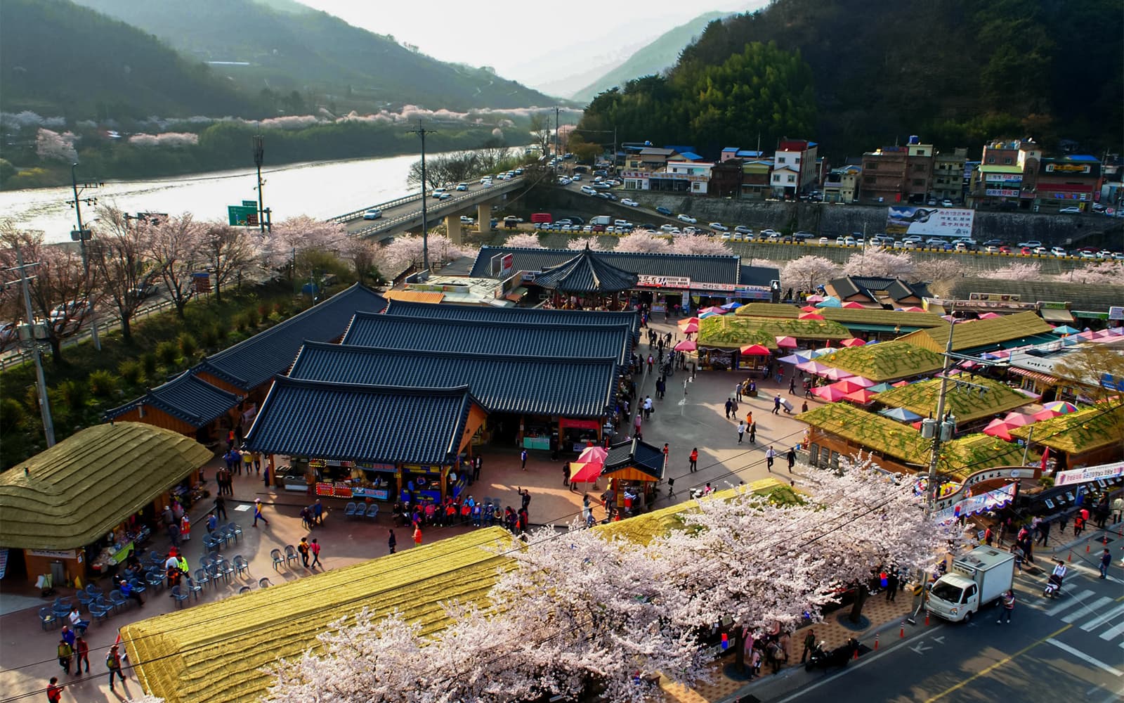 1-Day Cherry Blossom Guided Tour with Round-Trip Transfers from Seoul tickets in Seoul - Attractions | TickYourList