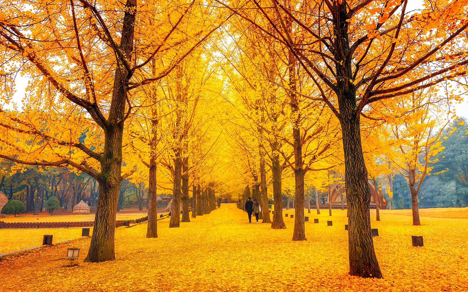 Nami Island Highlights Day Tour with Petite France & Italian Village