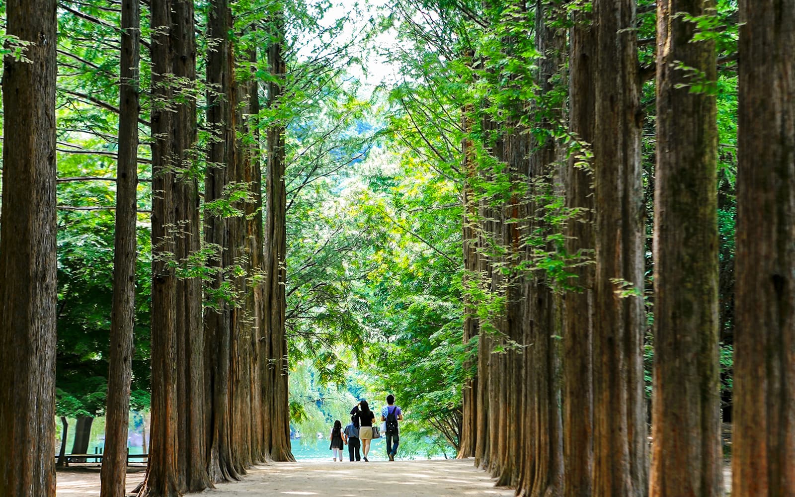 Nami Island & Mount Seorak Day Tour