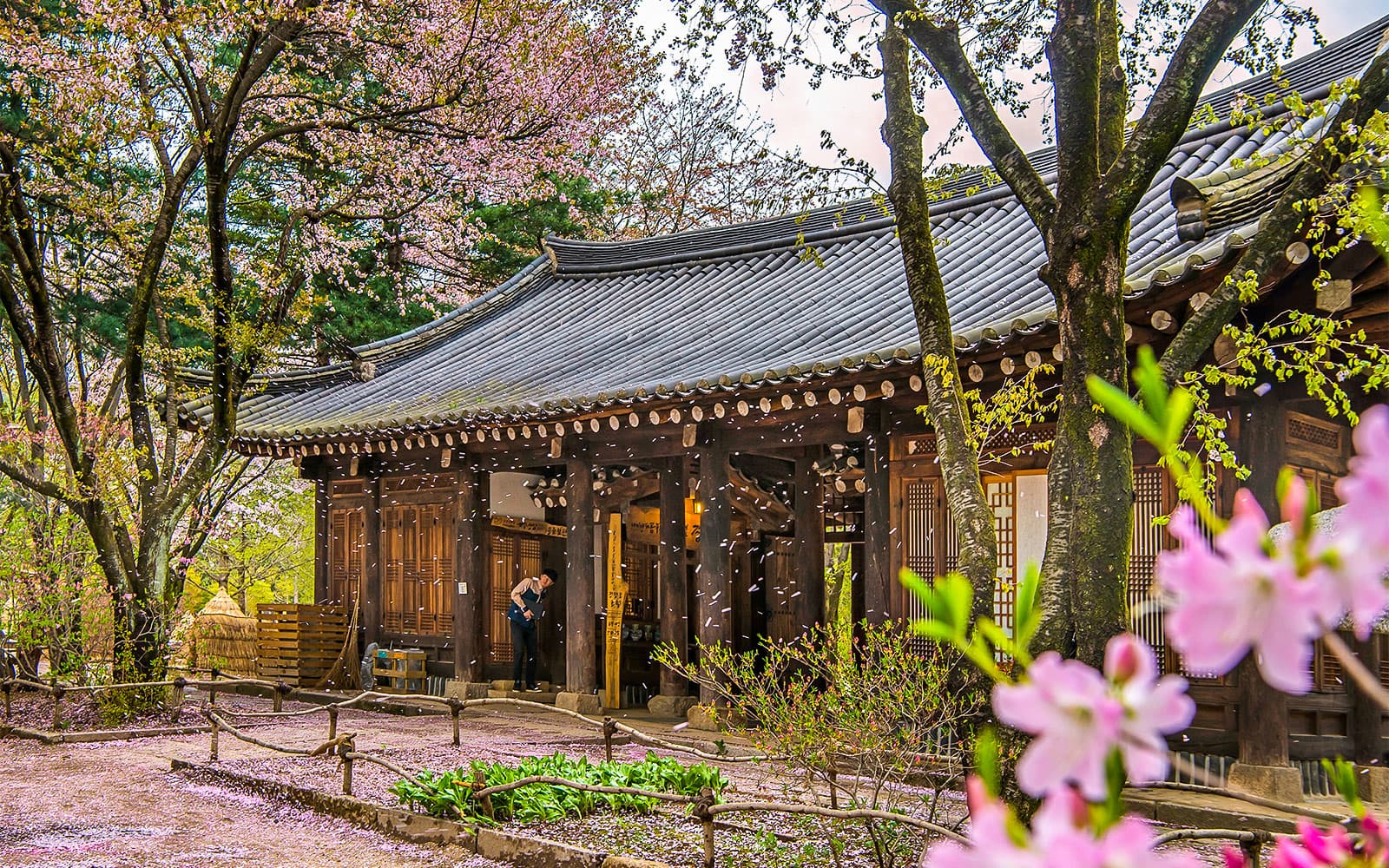 Nami Island & Mount Seorak Day Tour tickets in Seoul - Attractions | TickYourList