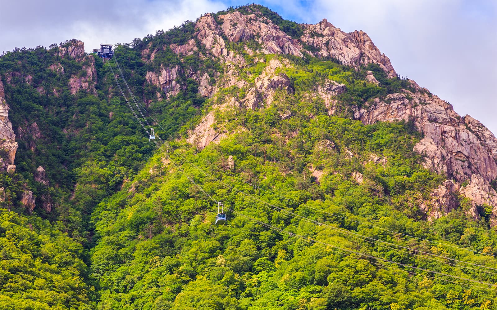 Nami Island & Mount Seorak Day Tour tickets in Seoul - Activities | TickYourList