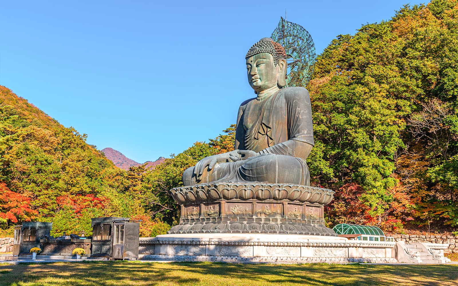 Nami Island & Mount Seorak Day Tour tickets in Seoul - Features | TickYourList