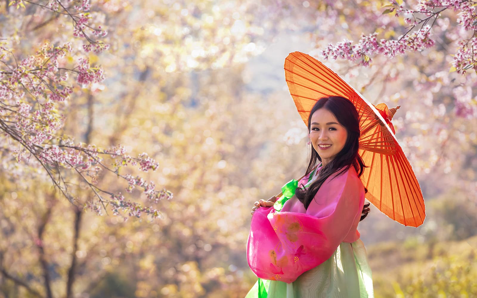 Full-Day Guided Seoul King Cherry Blossom Tour experience tickets in Seoul | TickYourList