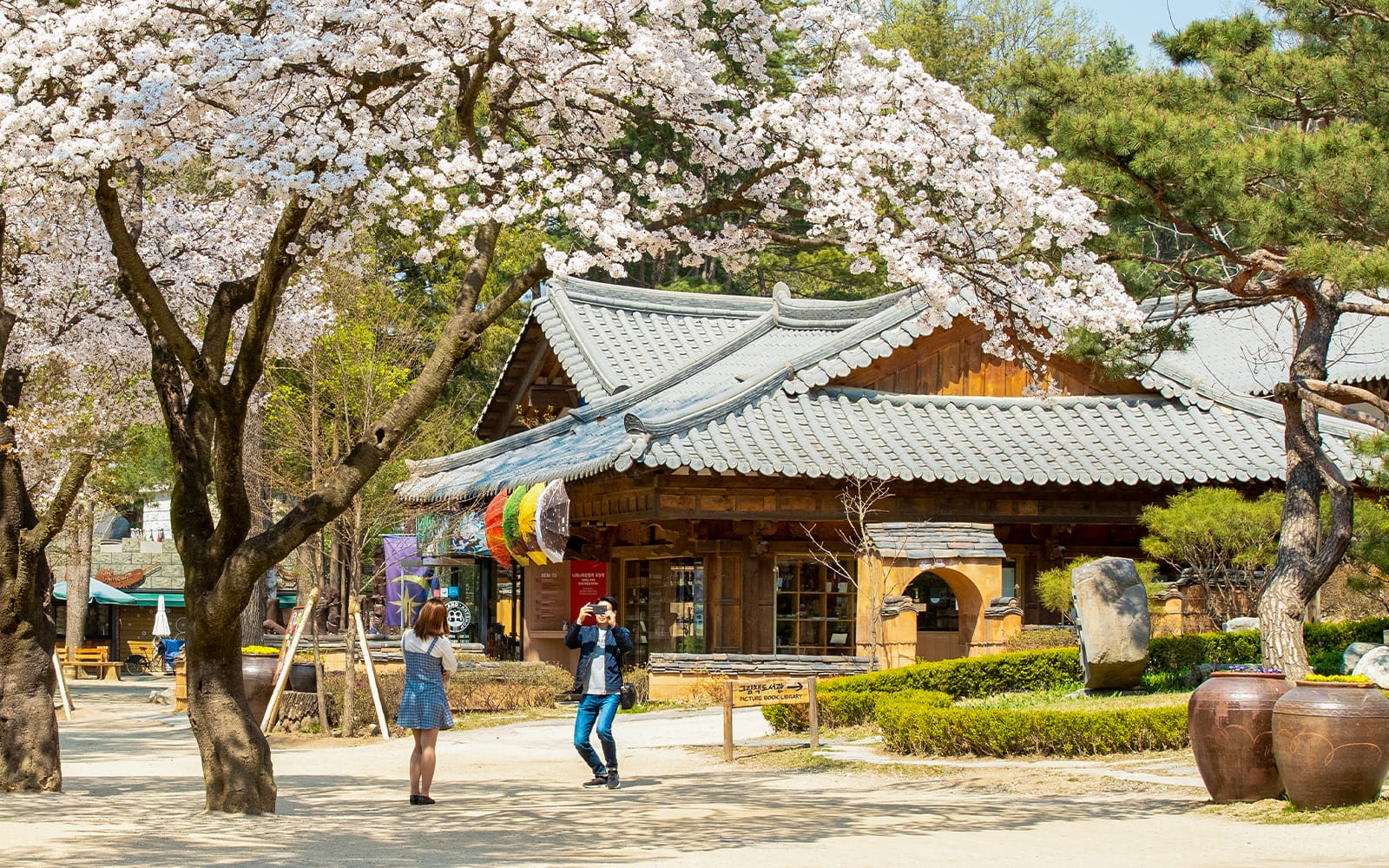 From Seoul: Nami Island & Alpaca World Guided Tour tickets in Seoul - Attractions | TickYourList