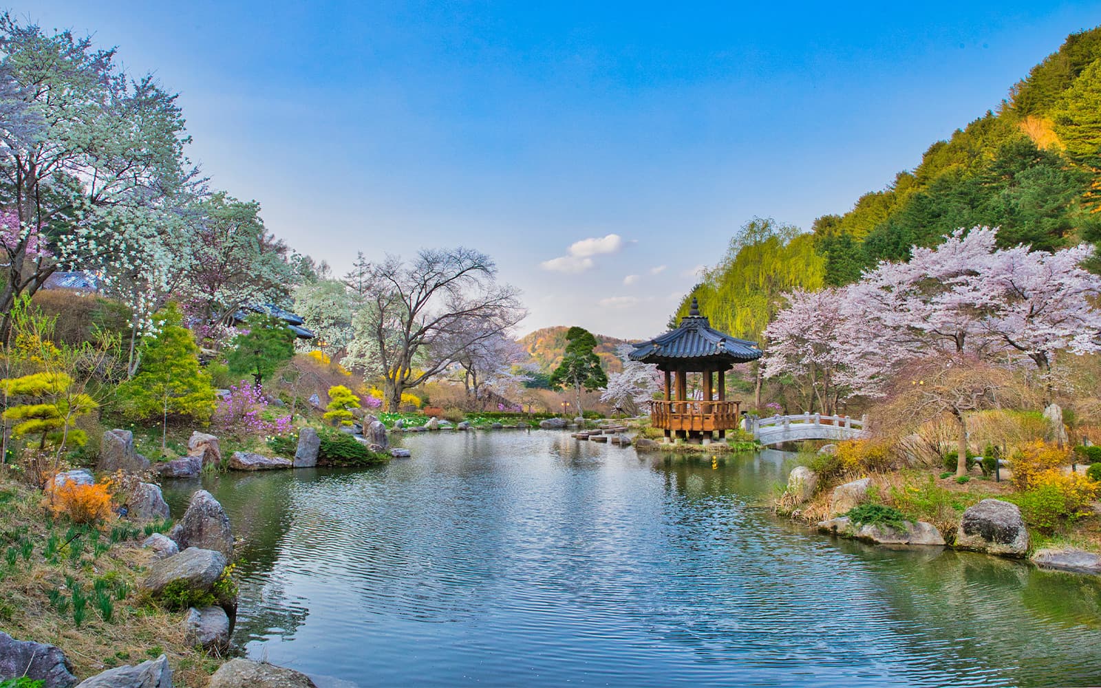 From Seoul: Nami Island & Alpaca World Guided Tour tickets in Seoul - Features | TickYourList