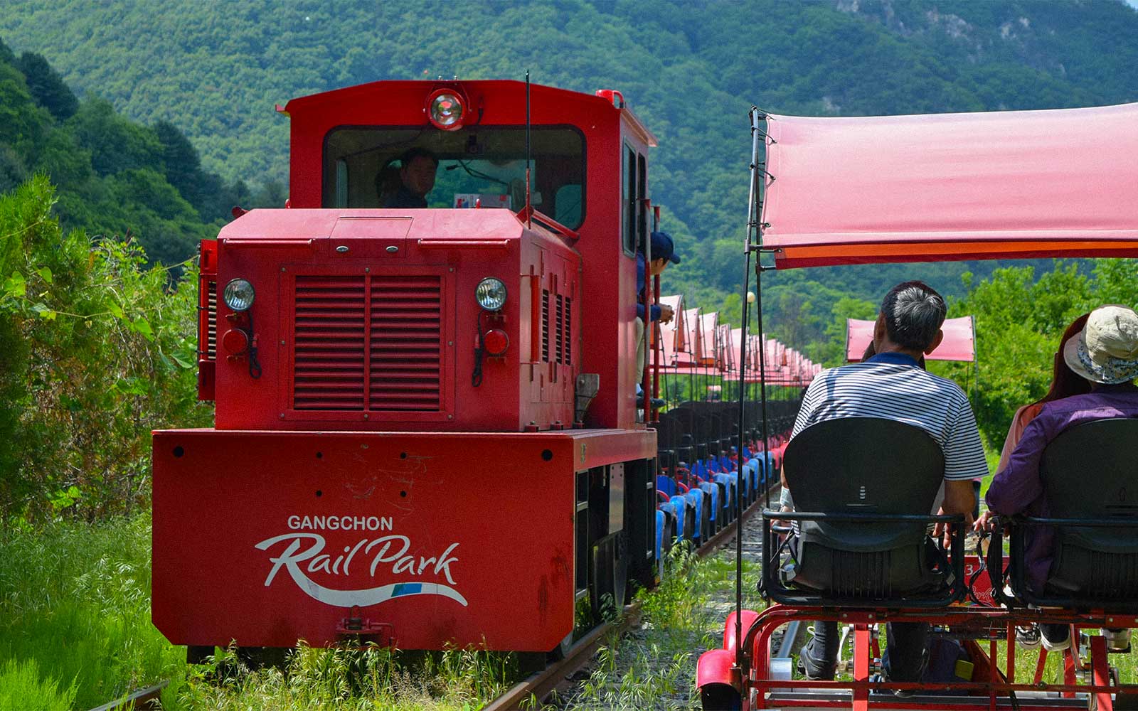 From Seoul: Nami Island, Petite France & Italian Village Day Trip with Gapyeong Rail Bike Ride & Painter Show tickets in Seoul - Activities | TickYourList