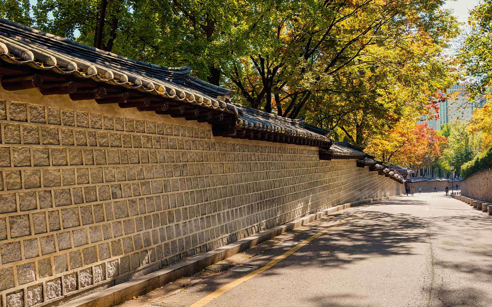 Half-Day Guided Walking Tour of Korean Life tickets in Seoul - Highlights | TickYourList