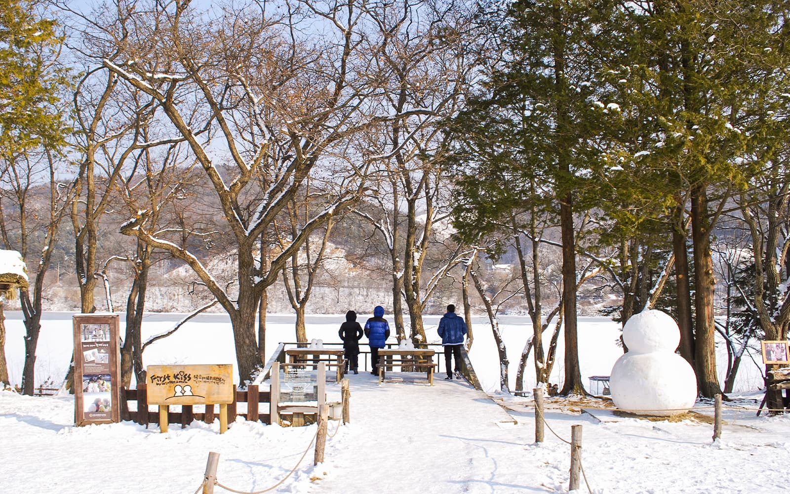 From Seoul: Alpaca World, Nami Island & Garden of Morning Calm Day Trip tickets in Seoul - Features | TickYourList