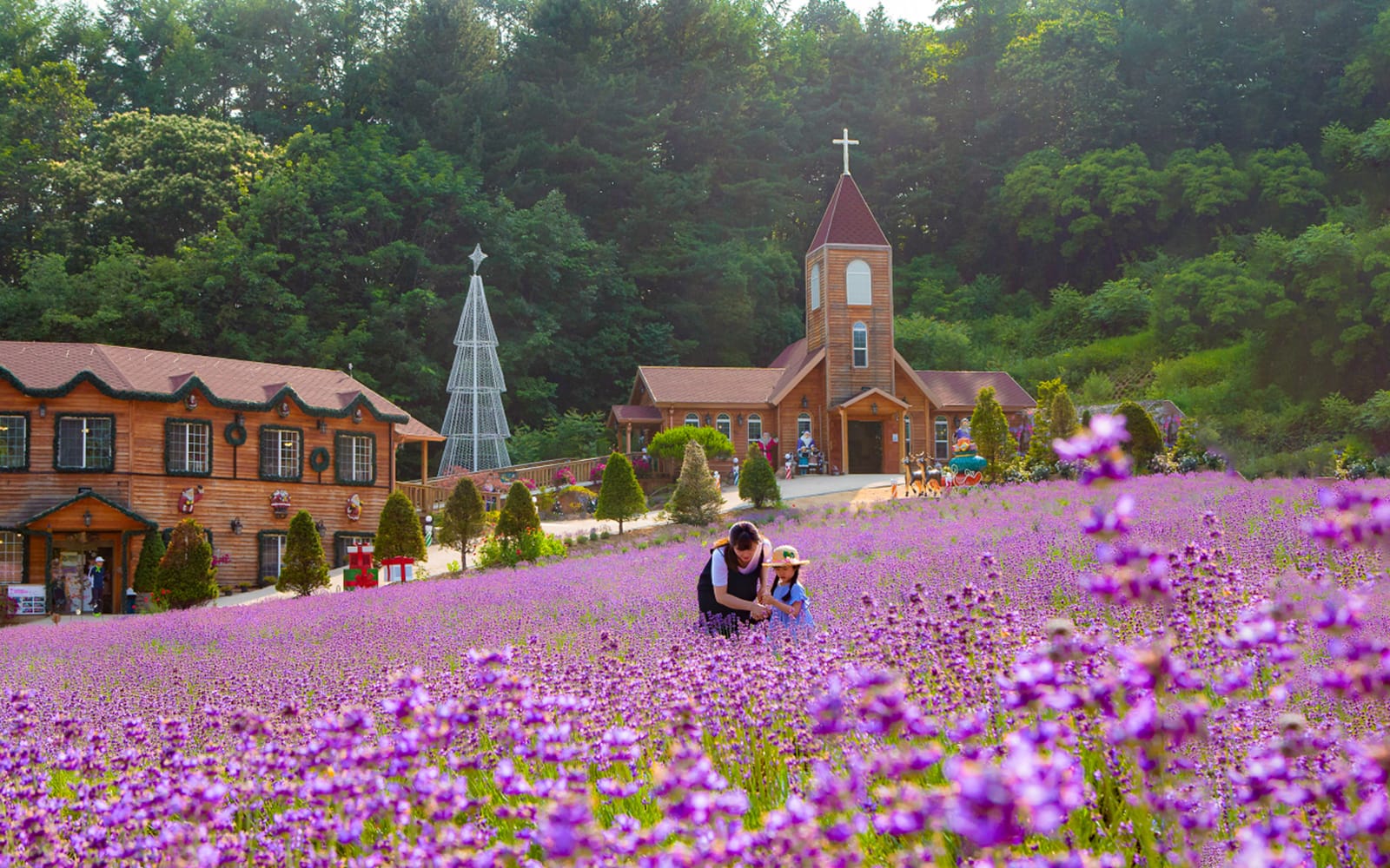 From Seoul: Pocheon Seasonal Fruit Picking & Exploration Tour experience tickets in Seoul | TickYourList