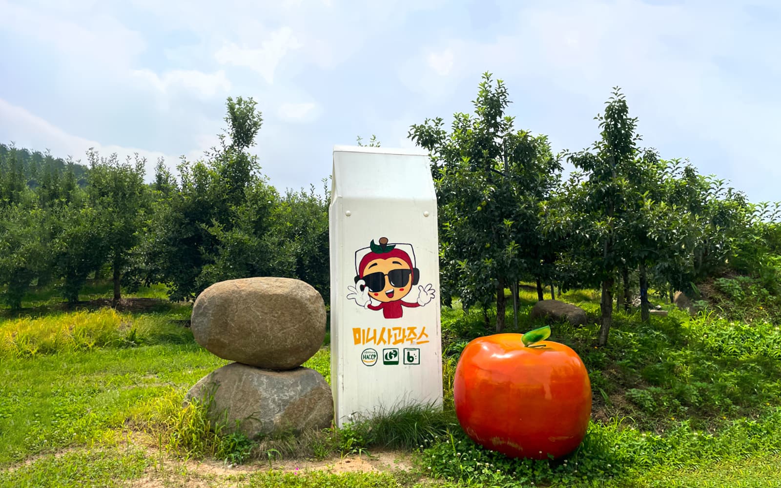 From Seoul: Pocheon Seasonal Fruit Picking & Exploration Tour tickets in Seoul - Features | TickYourList