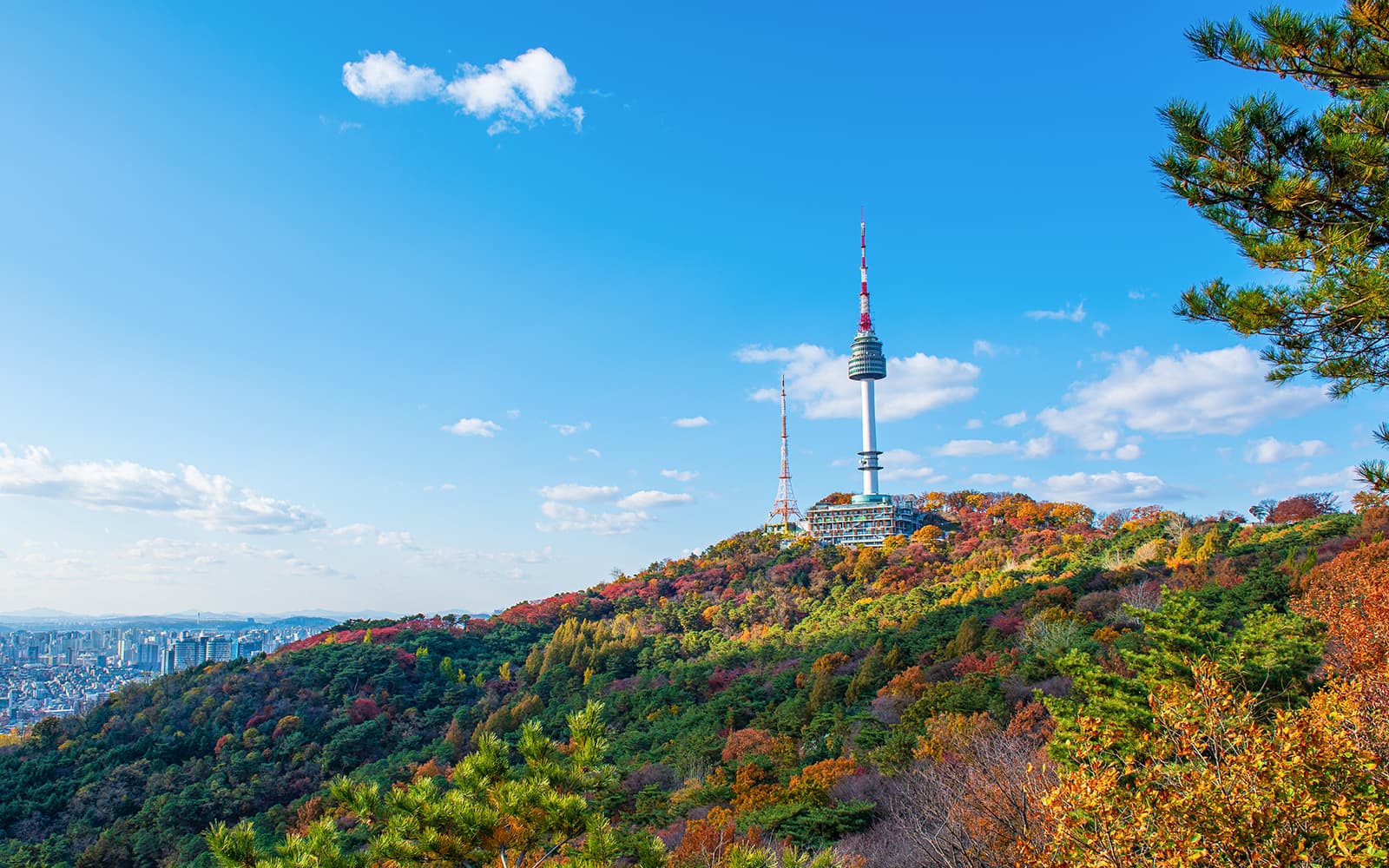 Combo (Save 30%): N Seoul Tower + SEA LIFE COEX, Seoul Aquarium Tickets in Seoul - Highlights | TickYourList