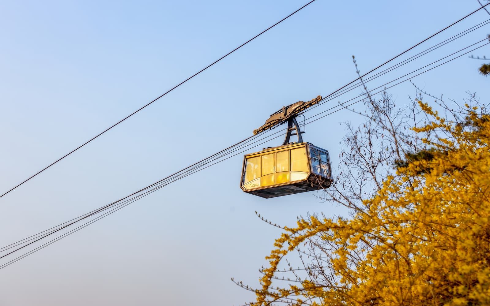 Namsan Cable Car Weekday Round Trip Tickets in Seoul - Features | TickYourList