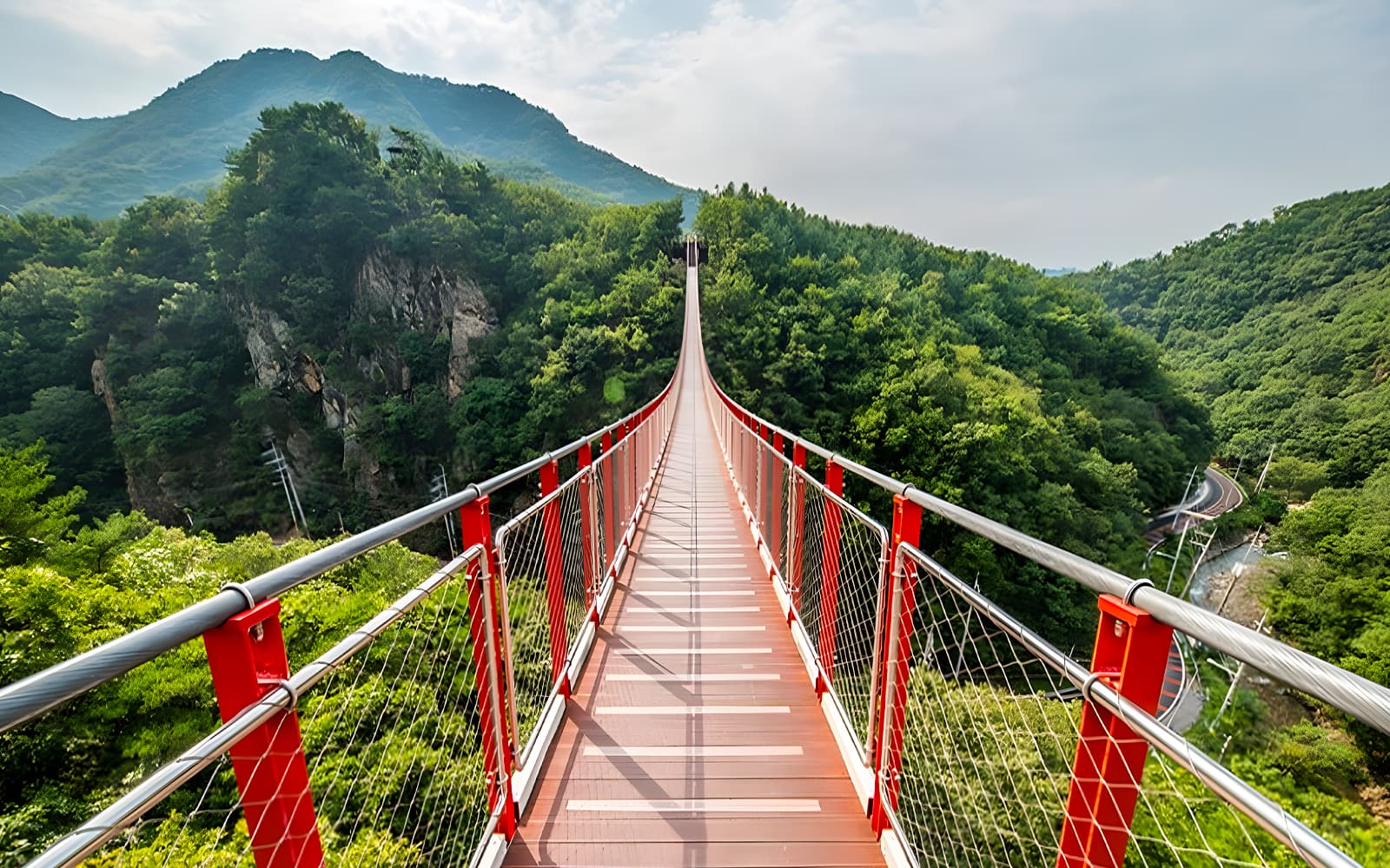 DMZ Full-Day Tour with Suspension Bridge Visit