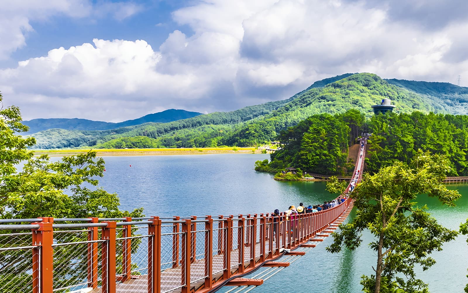 DMZ Full-Day Tour with Suspension Bridge Visit tickets in Seoul - Activities | TickYourList