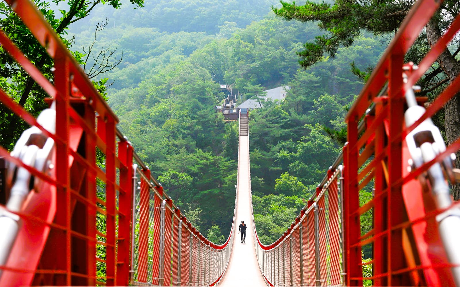 From Seoul: DMZ Day Tour with Mt. Gamaksan Suspension Bridge Visit