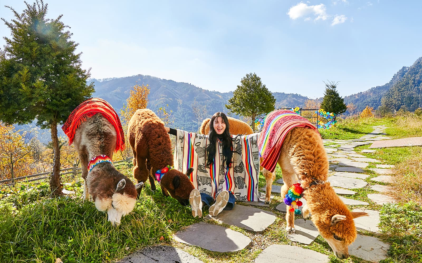 Nami Island Wildlife Exploration Day Tour with Alpaca World