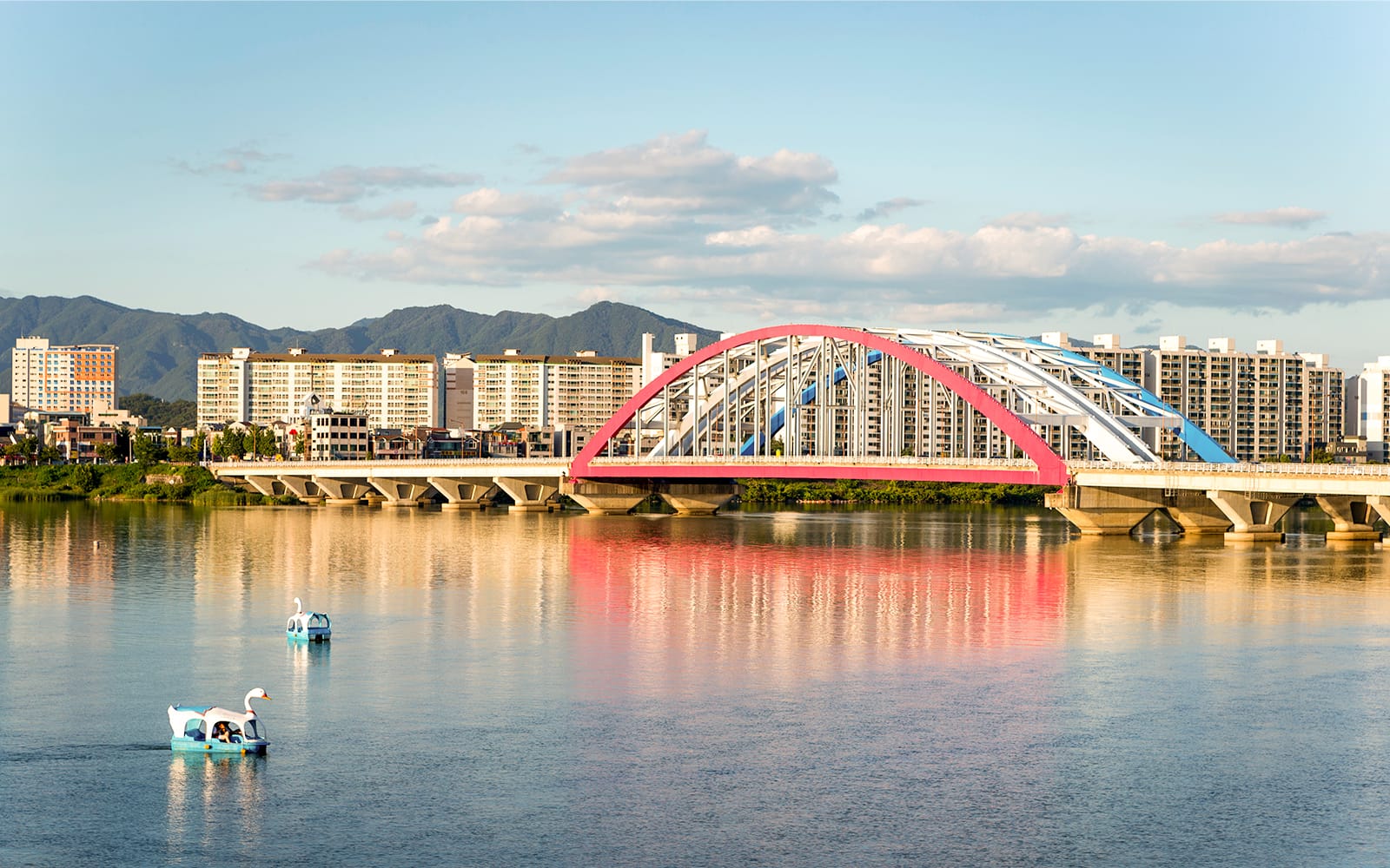 Nami Island Wildlife Exploration Day Tour with Alpaca World tickets in Seoul - Activities | TickYourList