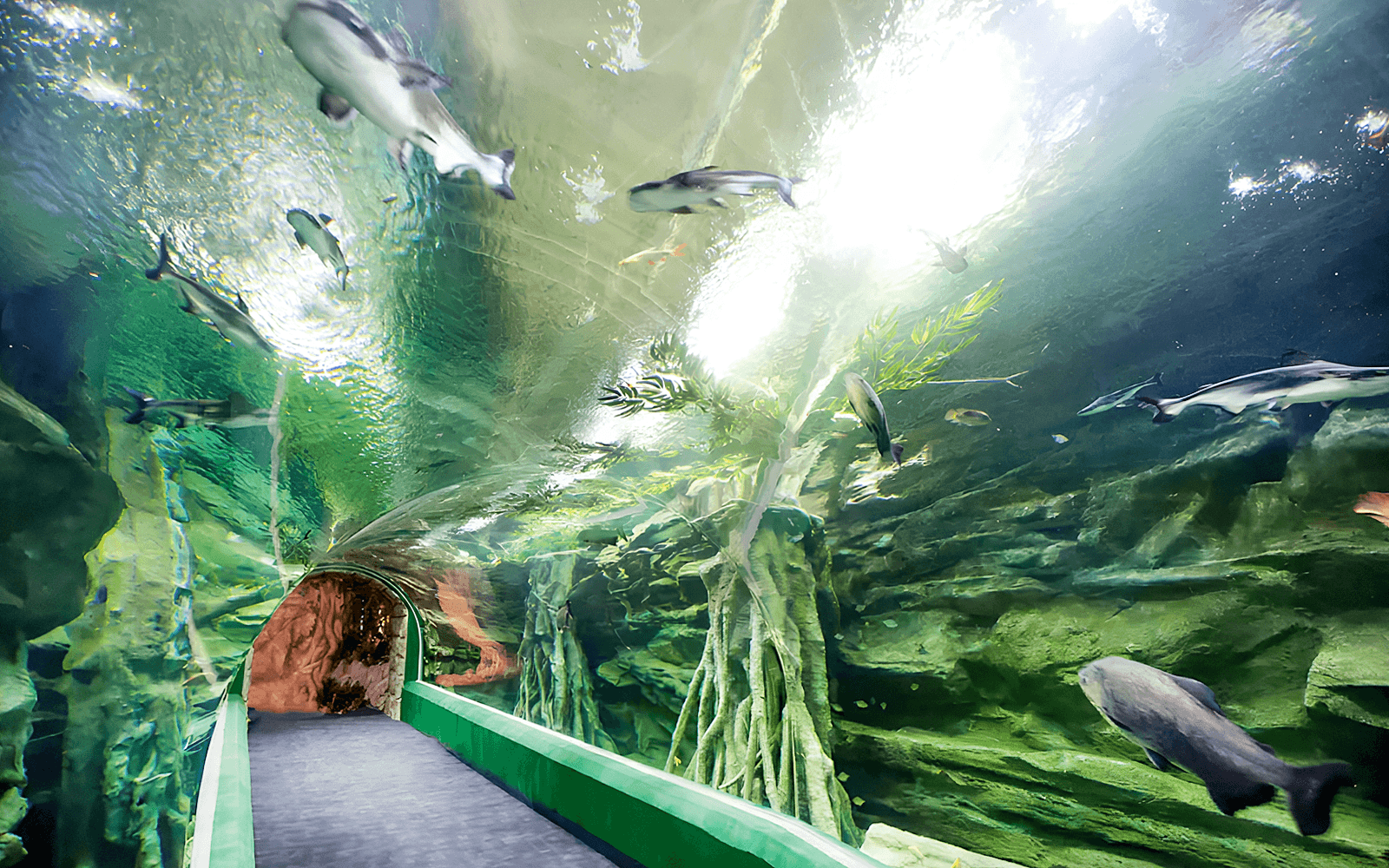 Lotte World Aquarium Tickets in Seoul - Activities | TickYourList