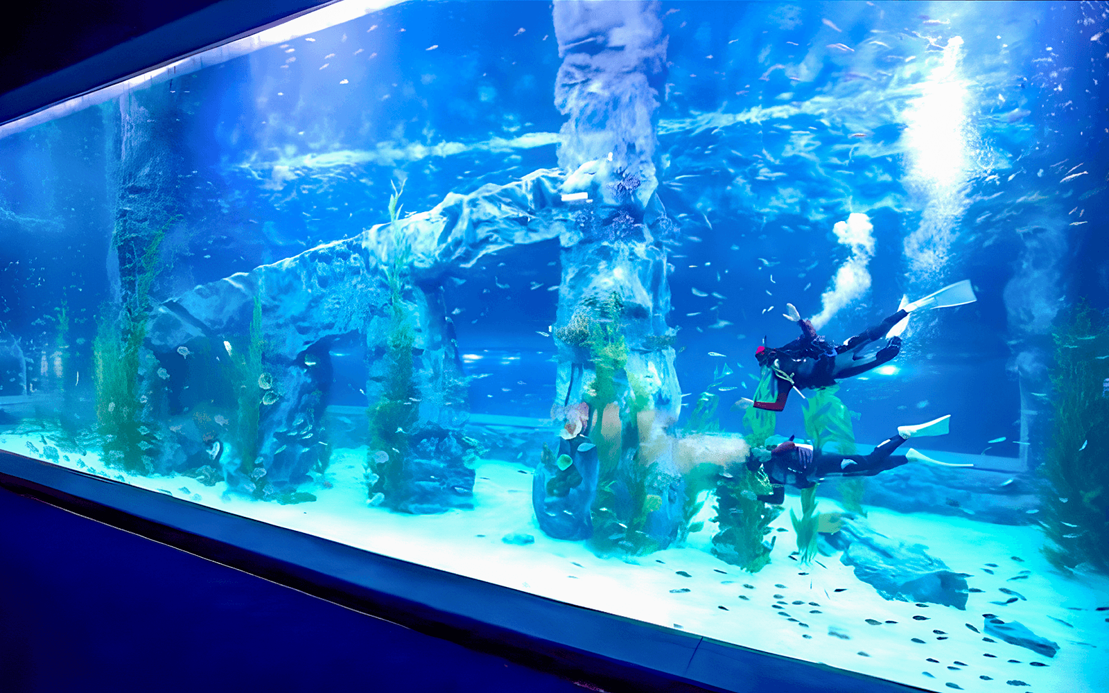 Lotte World Aquarium Tickets in Seoul - Features | TickYourList