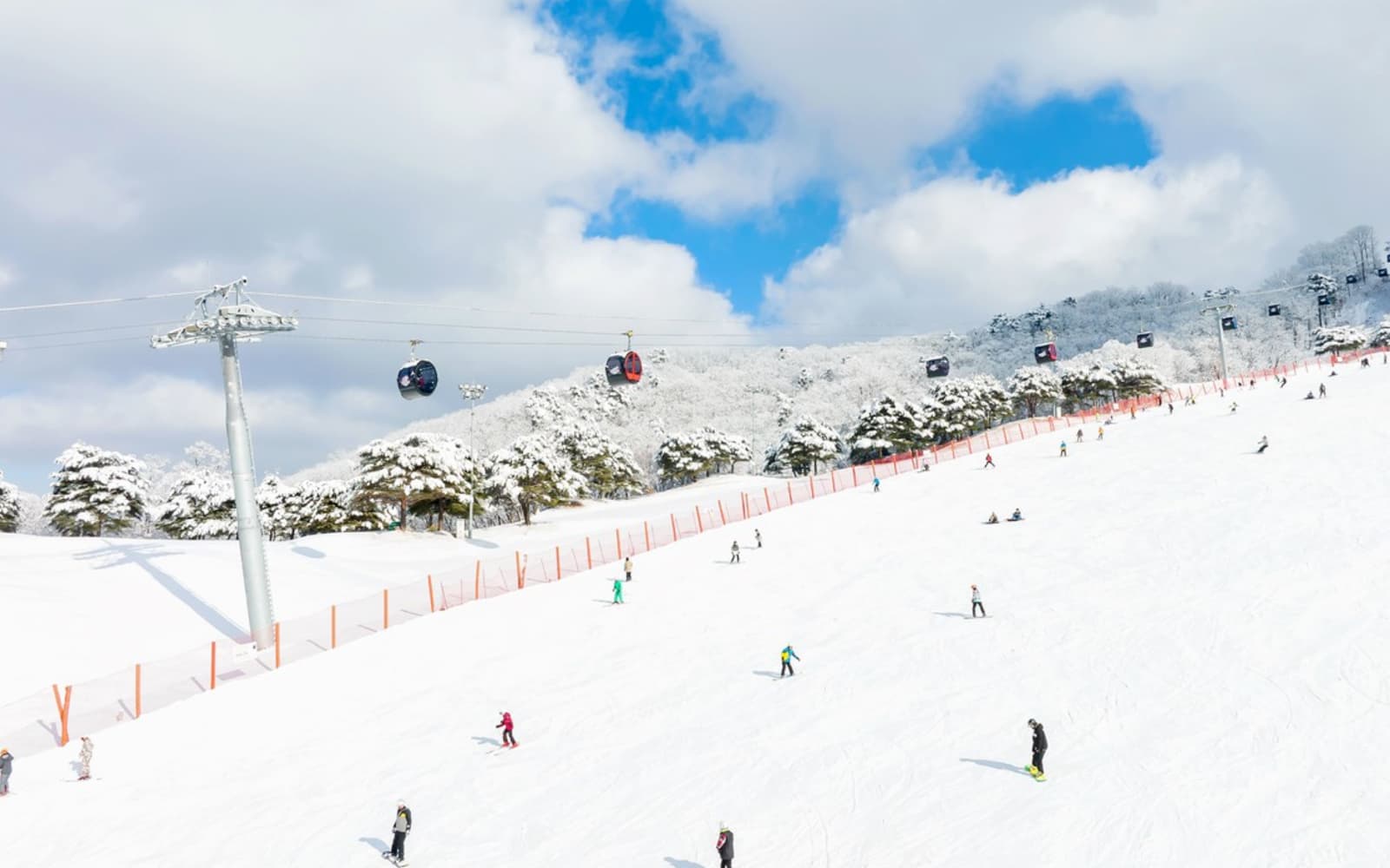 From Seoul: Full-Day Vivaldi Park Ski Tour with Lift, Lessons & Equipment tickets in Seoul - Highlights | TickYourList