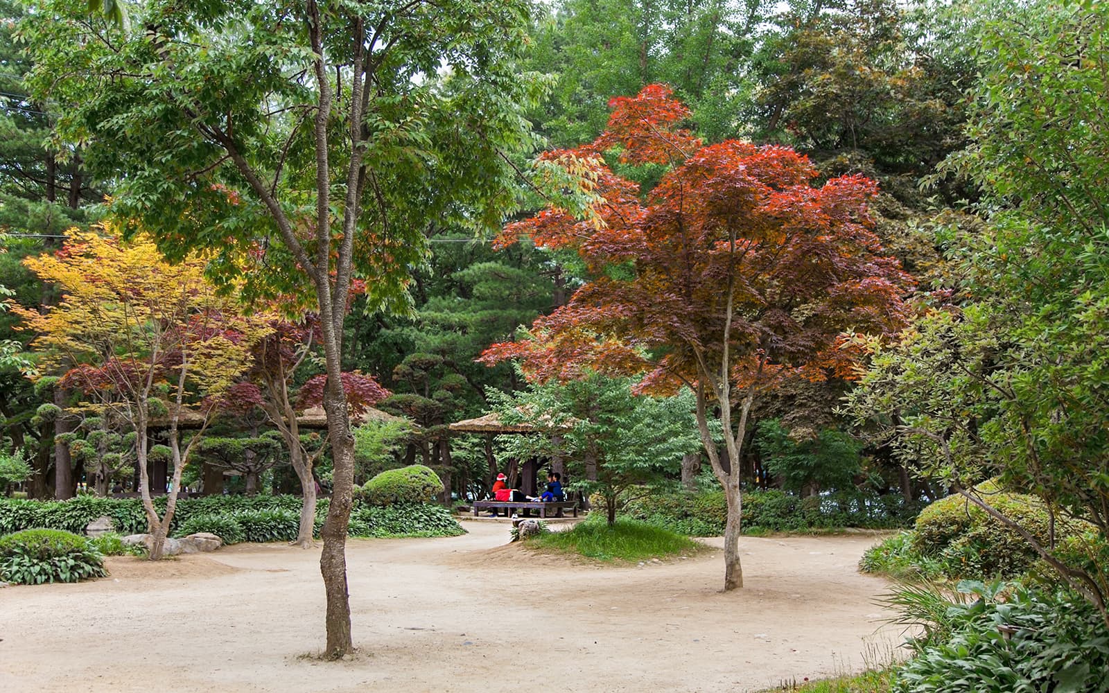 Round Trip Shuttle Bus Service to Nami Island tickets in Seoul - Highlights | TickYourList