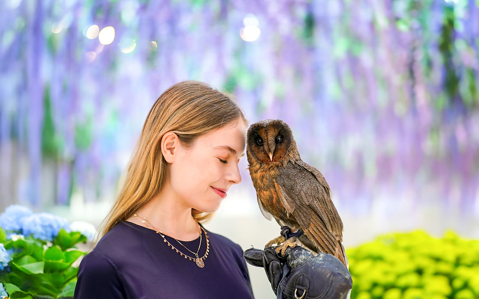 Nami Island Day Tour with Gapyeong Begonia Bird Park