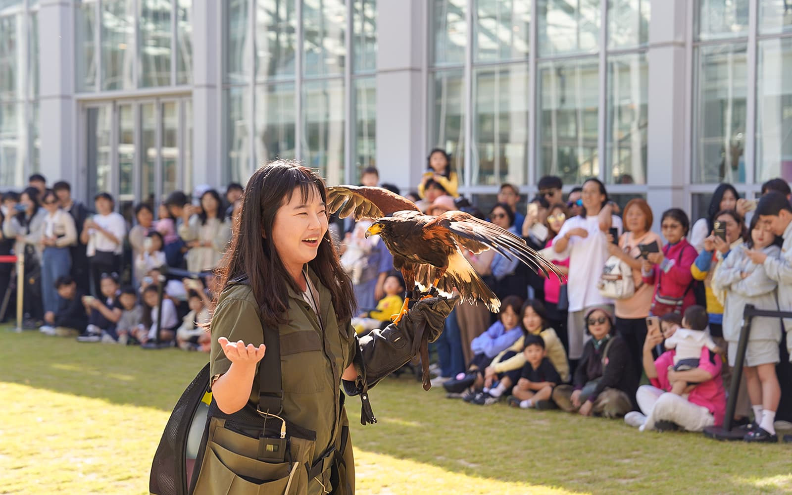Nami Island Day Tour with Gapyeong Begonia Bird Park tickets in Seoul - Activities | TickYourList