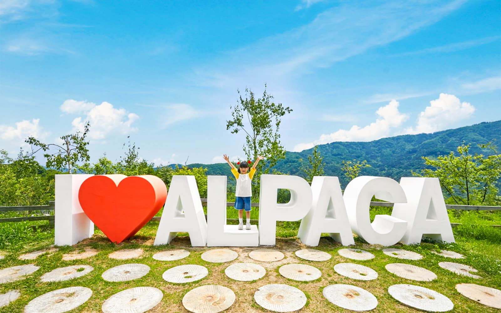 Alpaca World Admission Tickets in Seoul - Activities | TickYourList