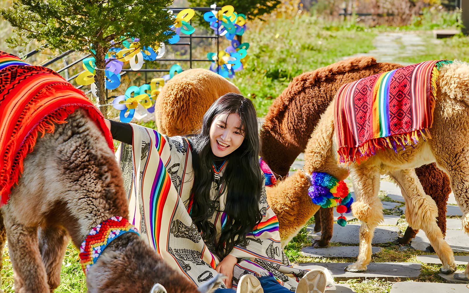 Alpaca World Admission Tickets in Seoul - Features | TickYourList