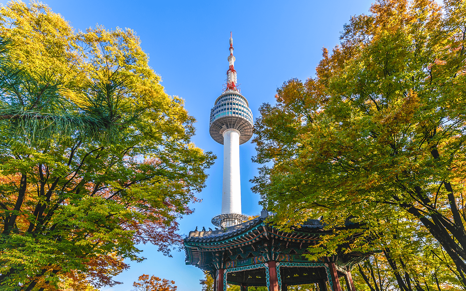 N Seoul Tower Observatory with Namsan Cable Car Round-trip Tickets