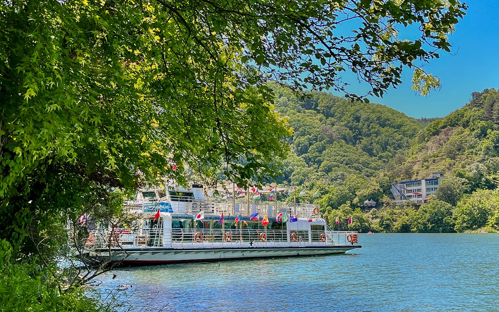 Nami Island Admission Ticket with Transfers in Seoul - Attractions | TickYourList